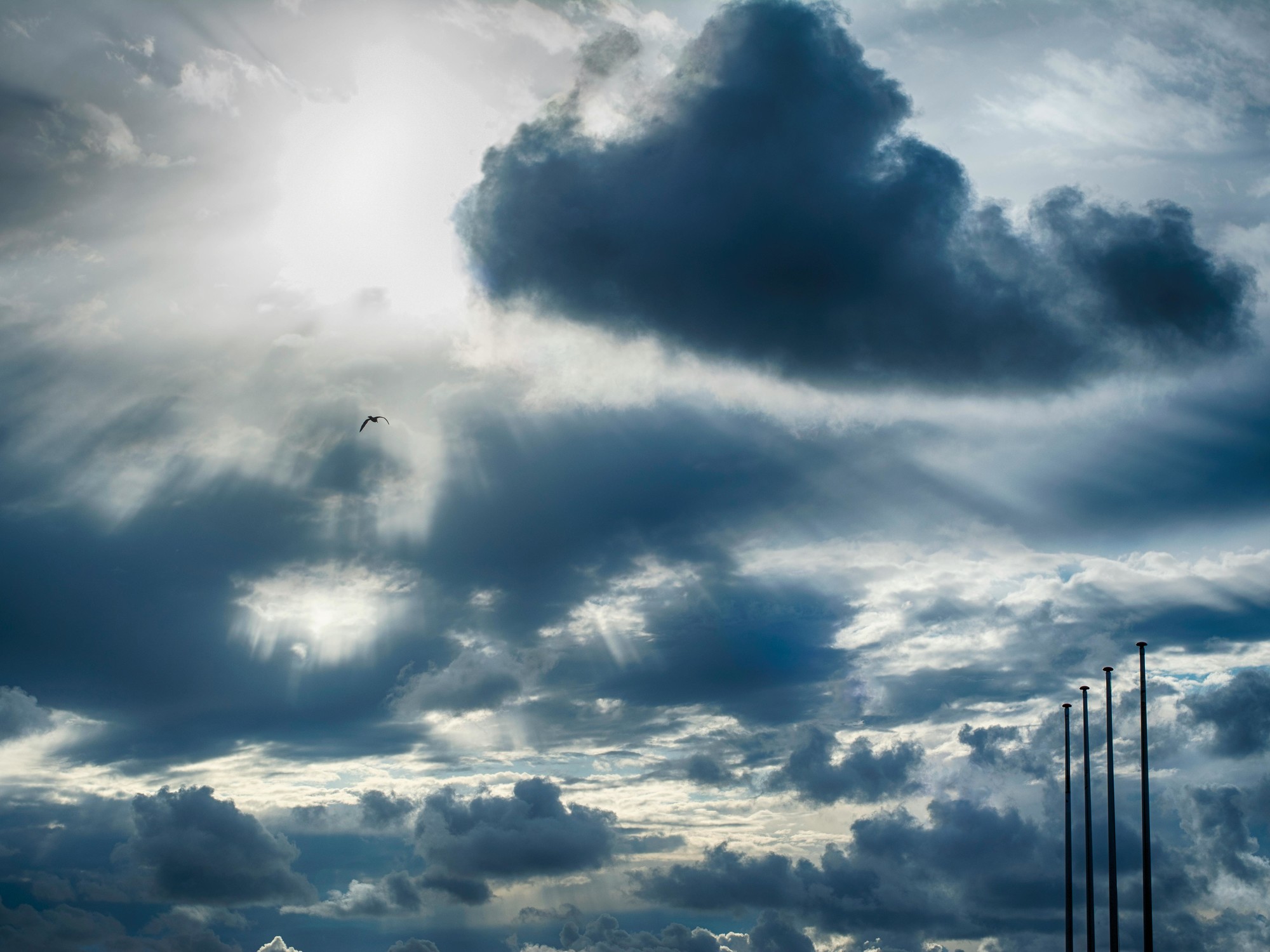 Clima hoy en Valencia, Carabobo, Venezuela: el pron&oacute;stico del tiempo para este viernes 3 abril de 2026